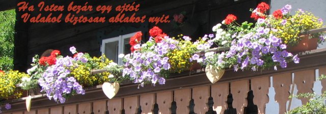 img_8014