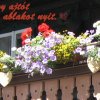 img_8014
