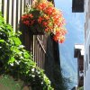 img_83291